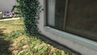 LDOrganicsProduct-GTAOe-Location47