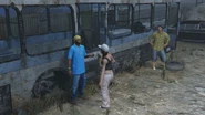 Dealing with Vagos.