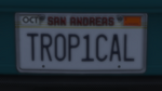 Custom Plate GTAO TR0P1CAL