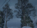 Snowy trees in Ludendorff, North Yankton.