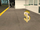 Assets in GTA San Andreas
