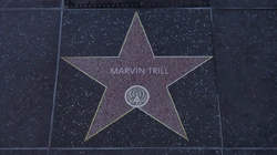 WalkofFame-GTAVee-MarvinTrill.jpg (126 KB) Marvin Trill's star on the Vinewood Walk of Fame.