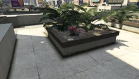 LDOrganicsProduct-GTAOe-Location33