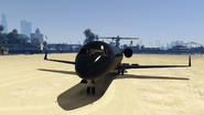 It'sAGThing-GTAO-SS9.png (2.03 MB) Landing at Del Perro Beach.