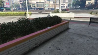 LDOrganicsProduct-GTAOe-Location24