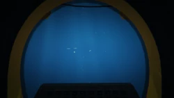 Driver's first-person view
