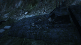 The destroyed Narcosub, along with a smuggler's skeleton and scattered cocaine packages. (Map Location)