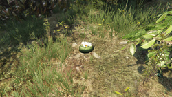 GTA Online Peyote plant locations 2020 - How to turn into animals