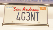 CustomLicense-GTAV-4G3NT.png