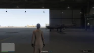 LastDose5-GTAOe-QuickRestartPoint.png (1.25 MB) Restart point in Devin Weston Jet Charter hangar.