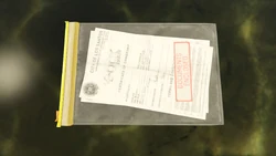 Closeup on the DockTease documents.