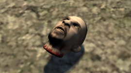 Anton's severed head.