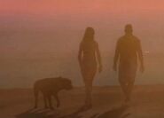 A dog seen in the first trailer for GTA V with two people, presumably its owners.