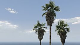 GTAO-Del Perro Freeway LTS