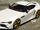 Jester RR