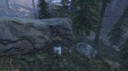 Goldenpeyote-Gtav-Sunday