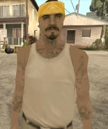 LSV Member 2.jpg (227 KB) LSV Member 2