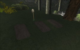 The makeshift graves at Catalina's cabin.