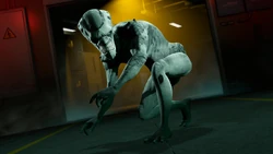 Gray Space Interloper outfit