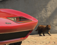 A cat appearing in a screenshot for Xbox One/PS4 version of GTA V.