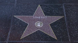 Love Fist star on the Vinewood Walk Of Fame.