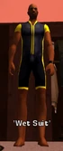 WetSuit-GTAVCS.png