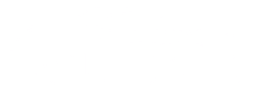 Bollokan t-shirt graphic. Although likely meant to be the Prairie, the outlined car is actually a direct copy of a Hyundai Tiburon.