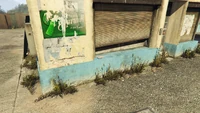 LDOrganicsProduct-GTAOe-Location64