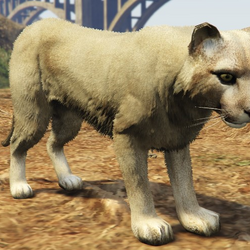 Category:Land Animals | GTA Wiki | Fandom Category:Land Animals | GTA Wiki | Fandom