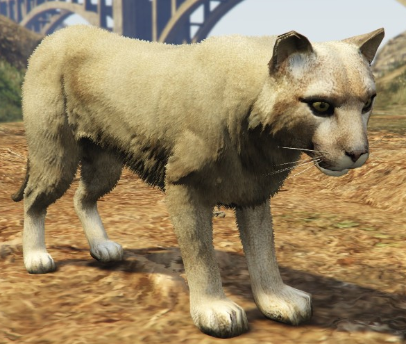 grand theft auto 5 animals