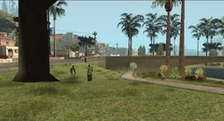 Members of the Grove Street Families in Glen Park after Carl Johnson had taken over the area.