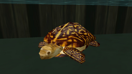 A sea turtle in Grand Theft Auto: Vice City.