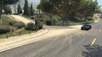 BikerSellTrashTrucks-GTAO-Countryside-Group2-DropOff5