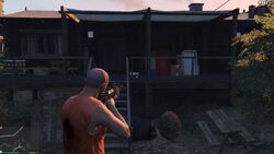 AltruistCamp-GTAV-Briefcase-2