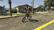 GroveStreetSurvival-GTAO-BMX.png (4.34 MB) GroveStreetSurvival-GTAO-BMX