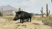 Peyote Plants Animals GTAVe Boar.png