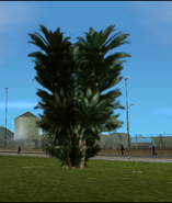 Tree-GTAVC-3