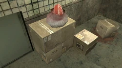 A bag containing meat