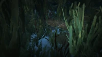 TreasureChests-GTAO-Location18
