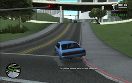 WearFlowersInYourHair-GTASA-SS61