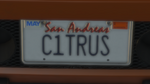 Custom Plate GTAO C1TRUS