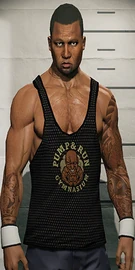 BountyTarget-GTAOe-ComputerImage-Bail21.png (203 KB) Brock Thompson's computer image.