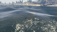 BikerSellBoats-GTAO-Countryside-NorthChumash-DropOff5