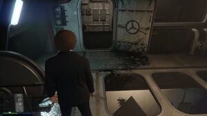 Foliage shadows in the Moon Pool.