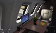 A Blêuter'd bottle inside a Luxor Deluxe. Other similar luxury aircraft feature these bottles.