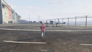 Go to LSIA and enter the plane.