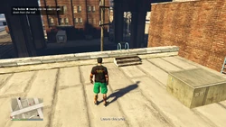 The ladder nearby can be used to get down from the roof.