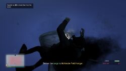 Attacked by a Shark.