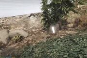 Epsilon-Tract-Image-8-GTAV