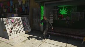 Gta-5-bong-shop.jpg